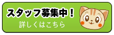 スタッフ募集中